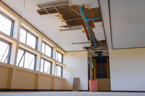 Best Flood restoration services  in Attica, MI