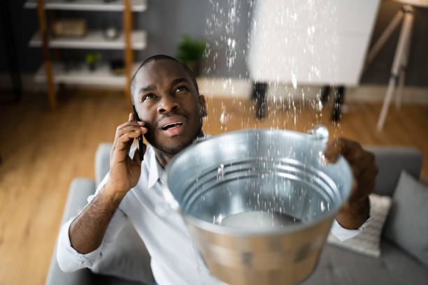  Attica, MI Water damage restoration Pros