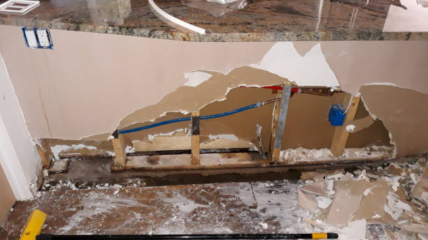 Best Water damage restoration mold remediation  in Attica, MI