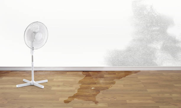 Best 24-hour water damage restoration  in Attica, MI