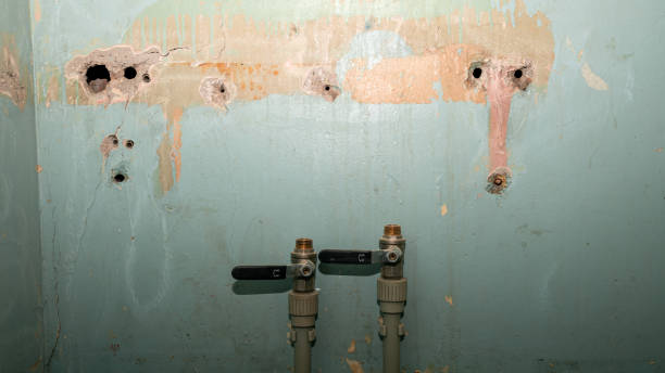 Best Sewage cleanup and water damage restoration  in Attica, MI