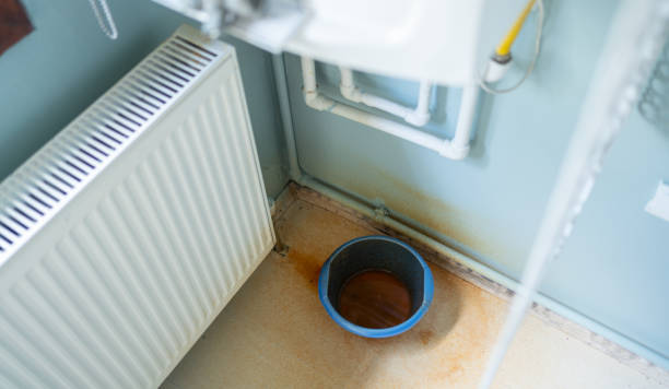 Best Professional water damage repair  in Attica, MI
