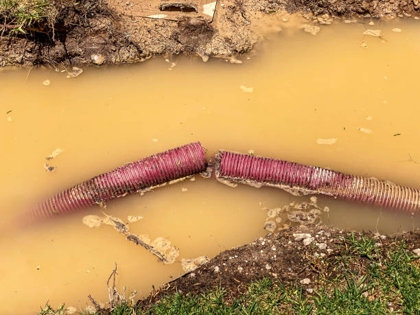 Best 24/7 water damage repair  in Attica, MI