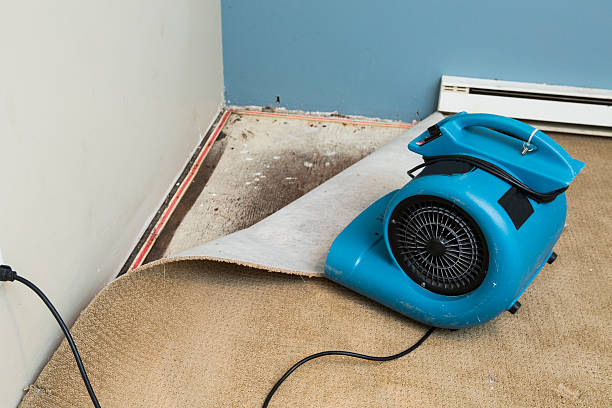 Best Residential water damage restoration  in Attica, MI